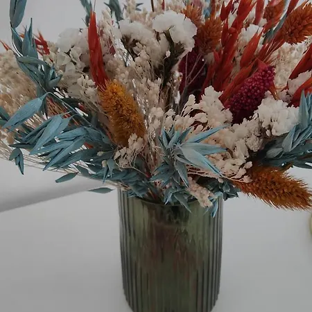 Διαμέρισμα Caires Urban Nest